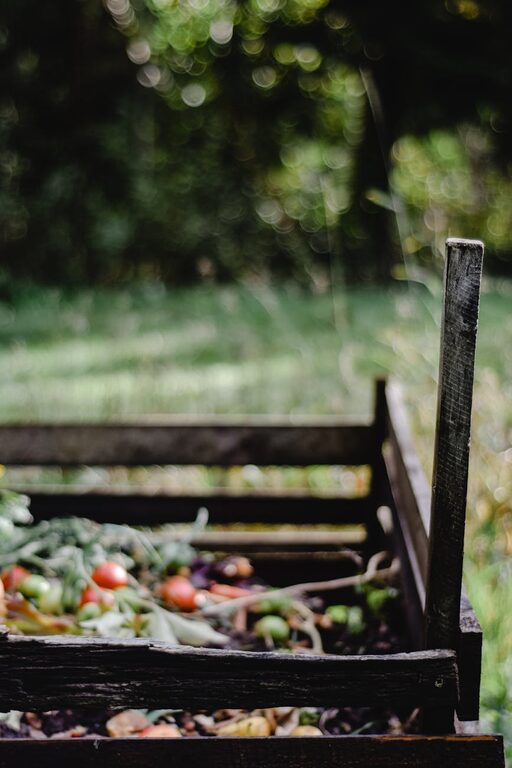 Beginner Tips for Composting at Home: Easy Steps to Start Today